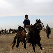 Pouria Lotfi-Najafabadi's photo