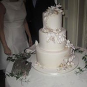 Ariana Urbont's photo