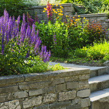 927 8th Street Lanscaping