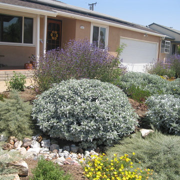 Sustainable Fullerton Garden Makeover