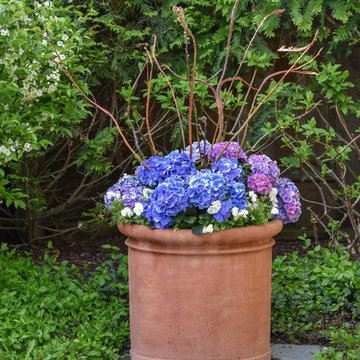 Spring Flowers