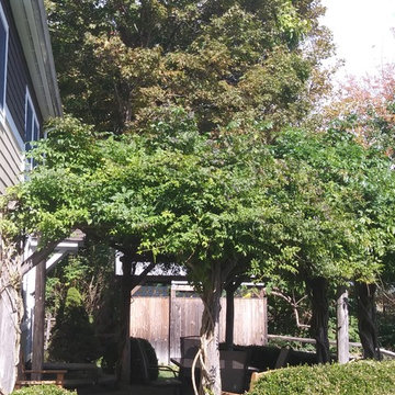Upstate retreat
