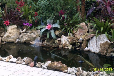 Photo of a tropical landscaping in Orlando.