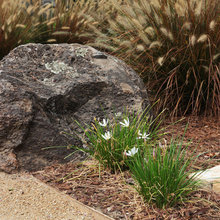 boulders