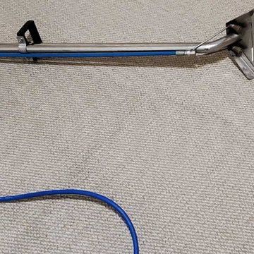 Move-out Carpet Steam Cleaning Service of Basment Suite in Coquitlam BC Canada