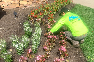 Photo of a partial sun landscaping in Nashville for summer.