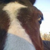 Evangeline LaMore's photo