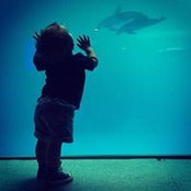 Laurie Gilmore's photo