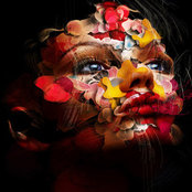 Michele Chludzinski's photo