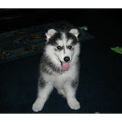 Kathy Lawmaster's photo