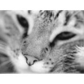 YiChen Lin's photo