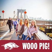 Ronni Mitchusson's photo