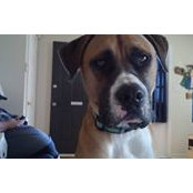 Bryan Hay's photo