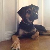 Jeff Kawasugi's photo