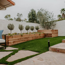 Landscape Ideas