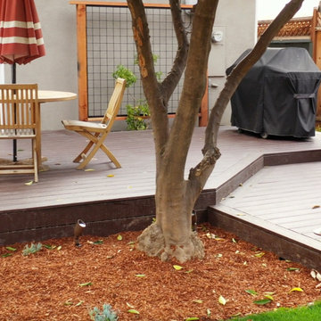 Back and Front Yard Project with Deck