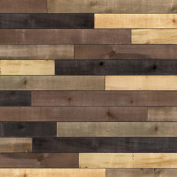 Weathered Wood Accent Boards - Mixed Colors - Products
