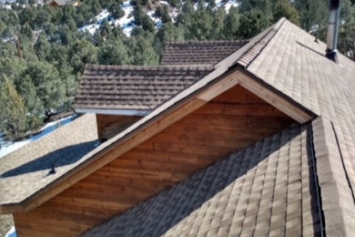 Rustic exterior home idea in Other with a shingle roof and a brown roof