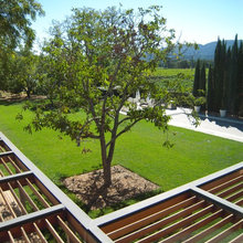 outdoor lattice
