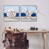 Sea Life Starfish Seashell Painting Beach Marine Animal, 2pc, each 24 x 24