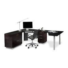 Steve Office