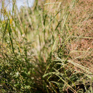 Bring Nature Near: National Park Service
