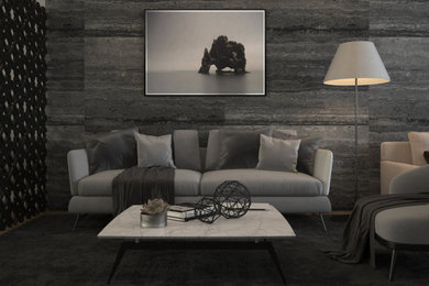 Inspiration for a modern home design remodel in Other