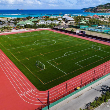 Turf Natural and Artificial