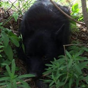 Arlien Kennedy's photo