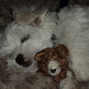 Kelly Norlock's photo