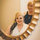 starr_heger