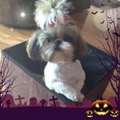 Dolores Barriskell's photo