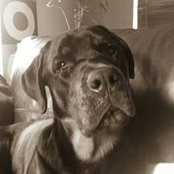 Frank Rush's photo