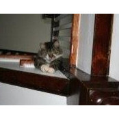 Deborah Filkins's photo