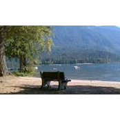 Lisa Thibert's photo