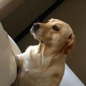 Connie Reaume's photo