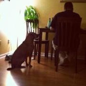 Douglas Wickle's photo