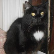 Sherree Knight's photo