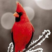 Stan Messmore's photo