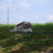 Debbie Larnder's photo