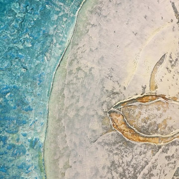 Sand dollar