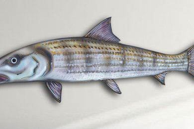 18" Bonefish Wall Mount