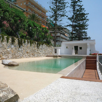 Biodesign Natural Pond Pools
