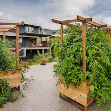 gardens and landscap