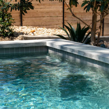 Texas Tiny Pools: Timberline Pool Waterline