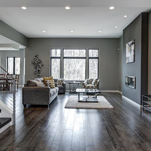 Living Room Ideas
