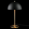 Luna 15" Matte Black Desk Lamp With Matte Brass Accents