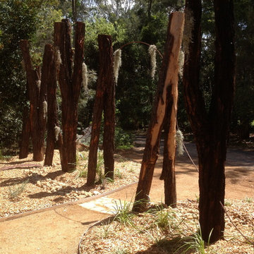 Contemporary Australian Native Garden
