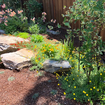 Redwood City Sustainable, Edibles and Whimsical