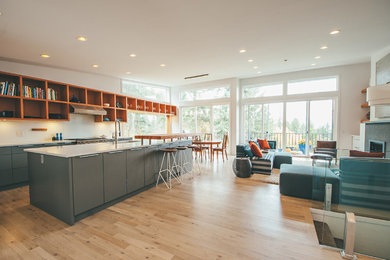 Mid-sized minimalist single-wall light wood floor and beige floor enclosed kitchen photo in Vancouver with an undermount sink, flat-panel cabinets, gray cabinets, quartz countertops, stainless steel appliances, an island, white backsplash and stone slab backsplash